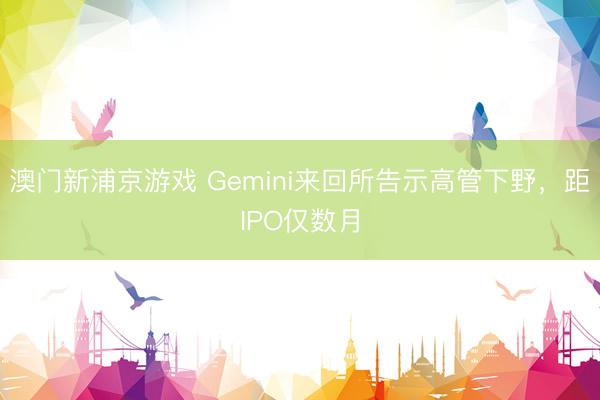 澳门新浦京游戏 Gemini来回所告示高管下野，距IPO仅数月