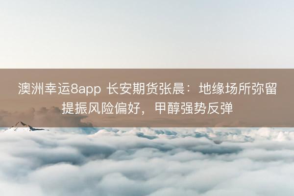 澳洲幸运8app 长安期货张晨:地缘场所弥留提振风险偏好,甲醇强势反弹