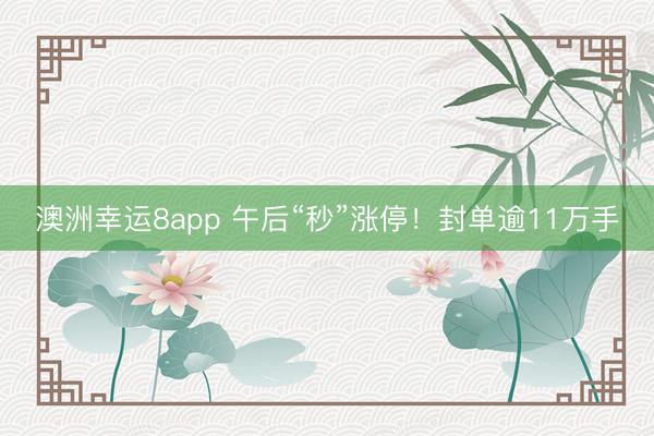 澳洲幸运8app 午后“秒”涨停!封单逾11万手